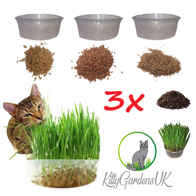 Cat online grass kit