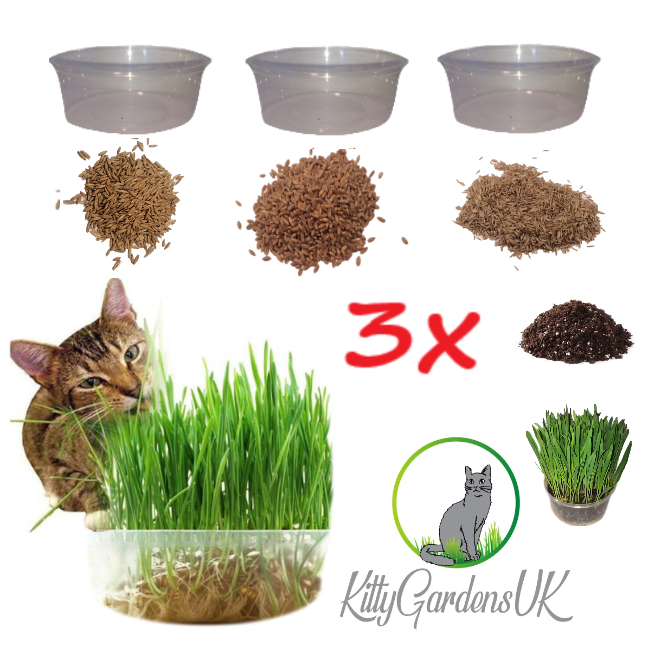 KittyGardensUK™ Unique Cat Grass Kit - KittyGardensUK