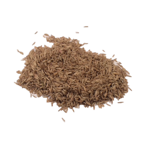 Thin Grass Seed - KittyGardensUK